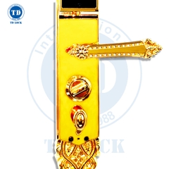 KHÓA ĐIỆN TỬ THÔNG MINH CỬA GỖ - BSM-488489-G