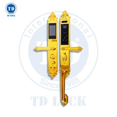 KHÓA ĐIỆN TỬ THÔNG MINH CỬA GỖ - BSM-488489-G