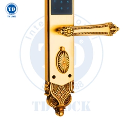 KHÓA ĐIỆN TỬ THÔNG MINH CỬA GỖ - BSM-680488-2