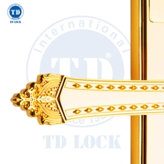 KHÓA ĐIỆN TỬ THÔNG MINH CỬA GỖ MẠ 24K - BSM-680488-G