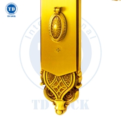 KHÓA ĐIỆN TỬ THÔNG MINH CỬA GỖ - BSM-680489-2