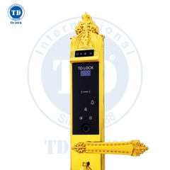 KHÓA ĐIỆN TỬ THÔNG MINH CỬA GỖ MẠ 24K - BSM-680489-G