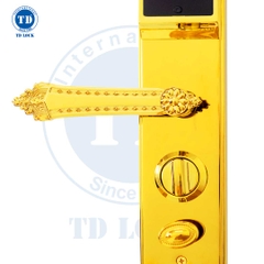 KHÓA ĐIỆN TỬ THÔNG MINH CỬA GỖ MẠ 24K - BSM-680489-G