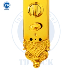 KHÓA ĐIỆN TỬ THÔNG MINH CỬA GỖ MẠ 24K - BSM-680489-G