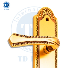 KHÓA TAY GẠT CỬA GỖ BRACCIANO - BDH-630630-2 CỬA CHÍNH