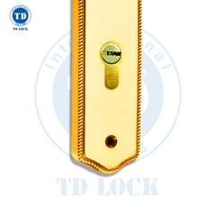 KHÓA TAY GẠT CỬA GỖ TWIG - BTP-205255-2 CỬA PHÒNG