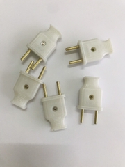 Phích cắm dương 250V 10A Loại Tốt