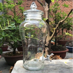 Bình thủy tinh 10 lít sâm chân mây [ không van ] & [ có van ] *BAO BỂ VỠ*