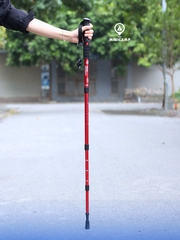 Gậy leo núi, trekking thu gọn 6-4JNS-T (TEAM JAUNTY) | size S 51/110cm