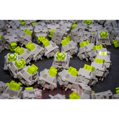 Owlab Neon switch