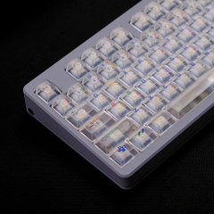 Bộ keycap Aifei SFC Clear (Cherry Profile / ABS)