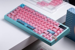 Bộ keycap Electronic Kitten PC (Cherry profile / PC)