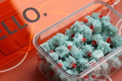 HMX Coral Sea switch