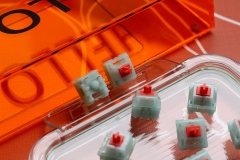 HMX Coral Sea switch