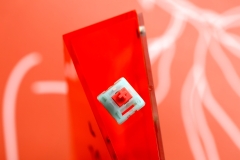 HMX Coral Sea switch