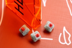 HMX Coral Sea switch