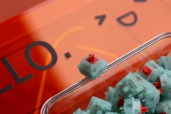 HMX Coral Sea switch