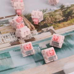 JKDK Gentle Lucy V2 switch