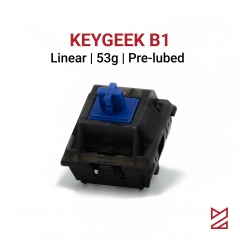Keygeek B1 Switch