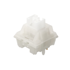 Keygeek Raw switch