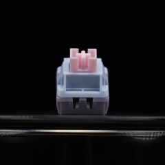Lucy R5T Silent switch