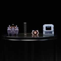 Lucy R5T Silent switch