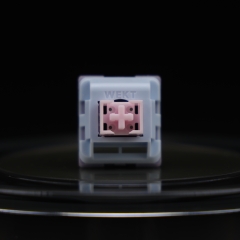 Lucy R5T Silent switch