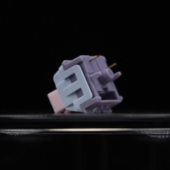 Lucy R5T Silent switch