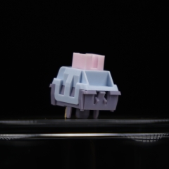 Lucy R5T Silent switch