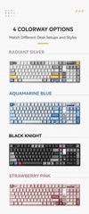 Bàn phím cơ QK100 MK2 (Prebuilt)