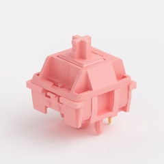 KTT Macaron switches