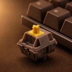 Torrero Switch