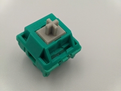 Tropical Waters V2 switch