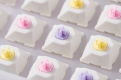 [GB] Diamond W1 switch