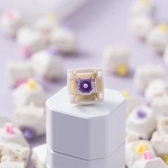Diamond W1 switch