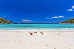 Khám phá và lặn ngắm san hô tour 3 đảo bằng tàu cano cao cấp 1 ngày (Coral Isalnd, Koh Hae & Koh Racha Yai)_Optional Tour