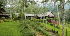 Tham quan Khu bảo tồn Voi ở Phuket nửa ngày (Phuket Elephant Sanctuary)_Optional Tour