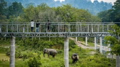 Tham quan Khu bảo tồn Voi ở Phuket nửa ngày (Phuket Elephant Sanctuary)_Optional Tour