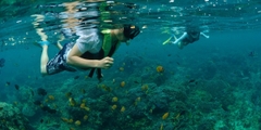 Khám phá đảo Lembongan bằng du thuyền Beach Club Cruise