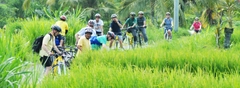 Đạp xe khám phá Kintamani 1 ngày đón Resort ở Nusa Dua, Kuta và Sanur_Optional Tour