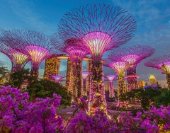 V Hotel Bencoolen Singapore_4 sao 4 Ngày 3 đêm