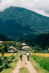 Tour xe đạp điện khám phá Jatiluwih 1 ngày_Optional Tour