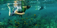 Khám phá đảo Lembongan bằng Reef Cruise_Optional Tour