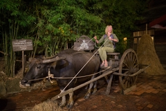 Siam Niramit Show (ghế hạng Bạc + ăn tối Buffet)_Optional Tour