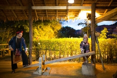 Siam Niramit Show (ghế hạng Bạc + ăn tối Buffet)_Optional Tour