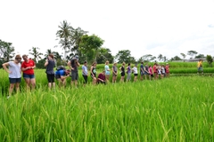 Đạp xe khám phá Kintamani 1 ngày đón Resort ở Nusa Dua, Kuta và Sanur_Optional Tour