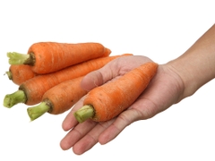 Cà rốt Đà Lạt