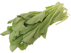 Cải ngọt 4KFarm