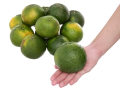 Cam sành vắt nước 3kg (18 - 24 trái)