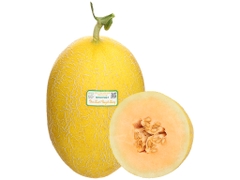 Dưa lưới Huỳnh Long trái 1.4kg-1.6kg